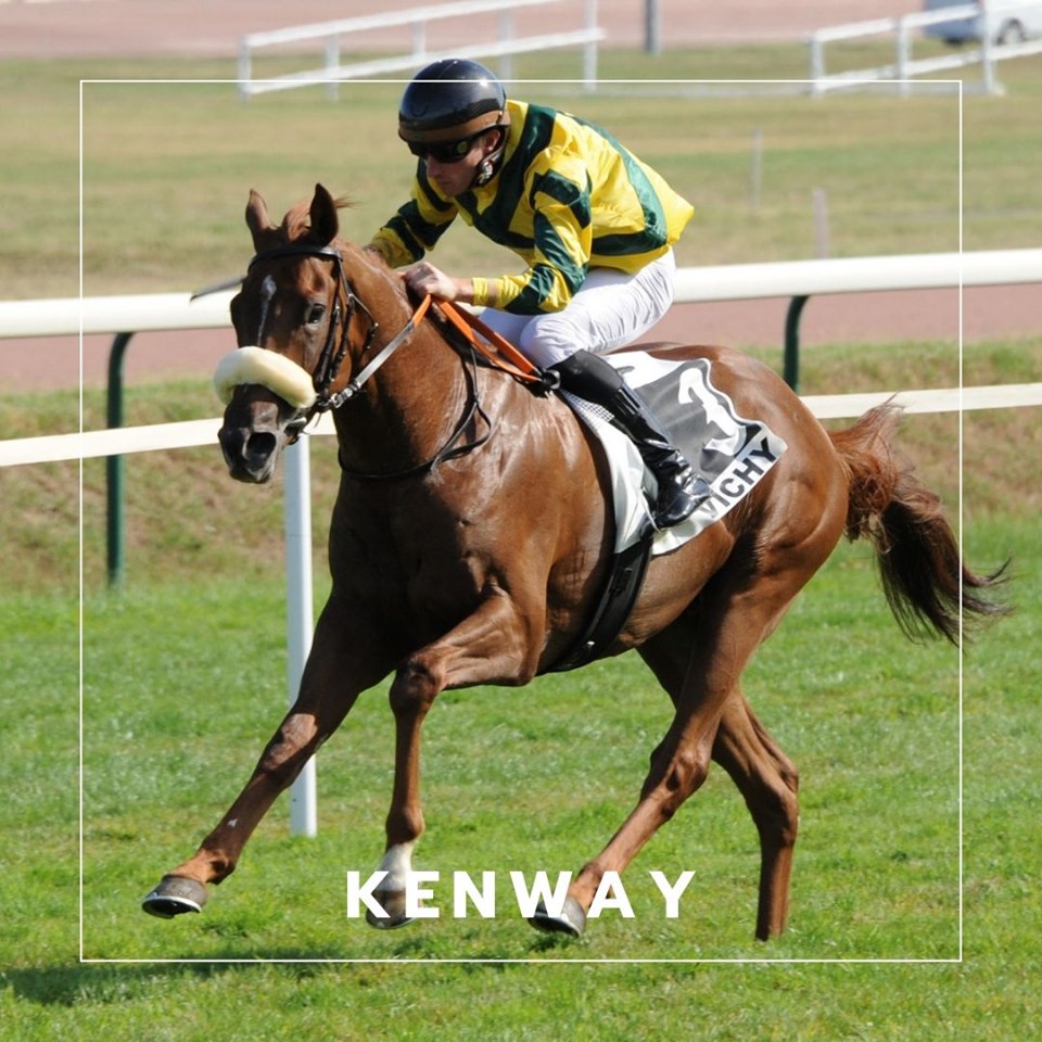 Kenway 6