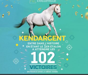 Ken 102 victoires